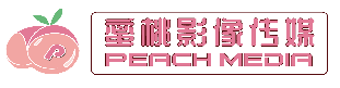 蜜桃视频高清在线观看平台