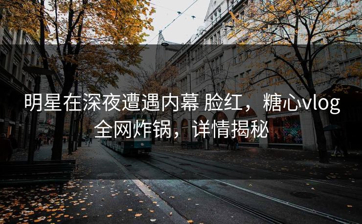 明星在深夜遭遇内幕 脸红,糖心vlog全网炸锅,详情揭秘