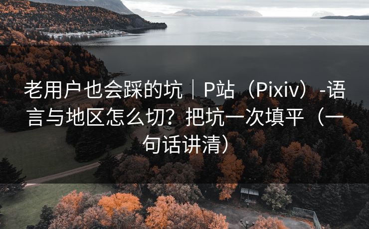 老用户也会踩的坑|P站(Pixiv)-语言与地区怎么切?把坑一次填平(一句话讲清)